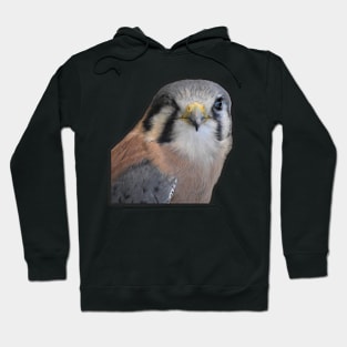 Kestrel Hoodie